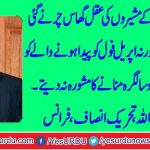 naimat-ullah