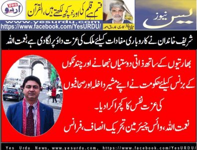 Naimatullah, Vice, Chairman, PTI,France