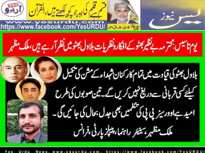 MALIK MAZHAR, SENIOR LEADER, PPP, FRANCE