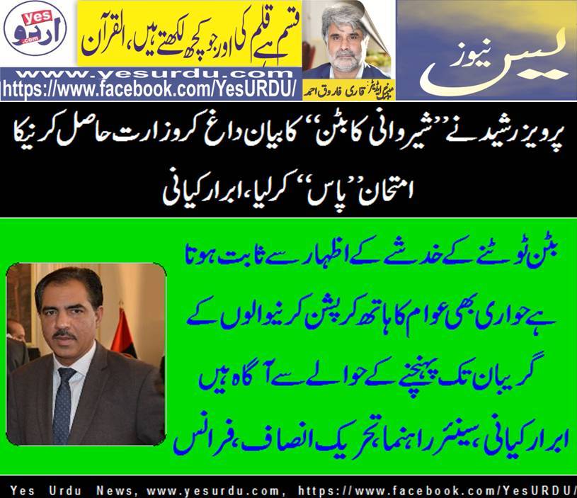 Ibrar Kiani, Senior Leader, PTI, France