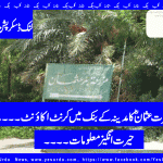 Bank account of Hazrat Usman bin Affan R.A in Madina