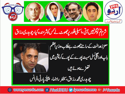 ch muhammad,razzaq,senior,Leader, ppp, france