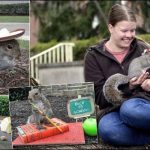 American student Squirrels made friends
