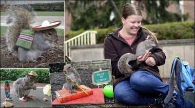 American student Squirrels made friends