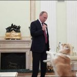 Russian President pet Japanese bitch his recognize fellow