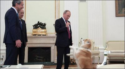 Russian President pet Japanese bitch his recognize fellow