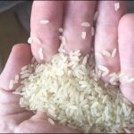 Nigeria: Customs action, Explore rice articulated with plastic