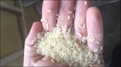 Nigeria: Customs action, Explore rice articulated with plastic