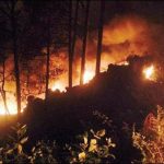 Fires in Muree Forests, burned thousands of trees
