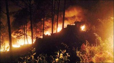 Fires in Muree Forests, burned thousands of trees