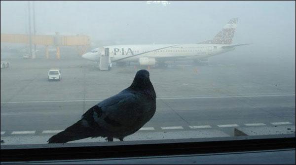 Severe fog in Karachi, the flight schedule affected at the airport