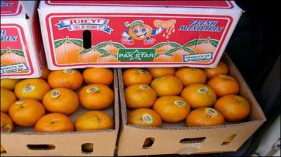 Export of canoe port operation sluggish slowdown