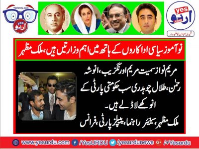 Malik, Mazhar, Senior, Leader, PPP, France