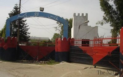 Man in Jhelum kills wife from Germany for 'honour'