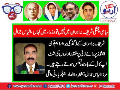 Mirza,Ilyas,Jarral, Senior Leader, PPP, Italy