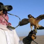 Organized by the People's Party held a rally against the alleged victim sheikhs of rare birds