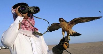 Organized by the People's Party held a rally against the alleged victim sheikhs of rare birds