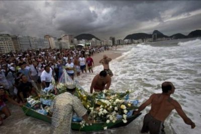 whiteflower-1481912918