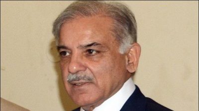 Dharna, group, spoiled, development, in, country