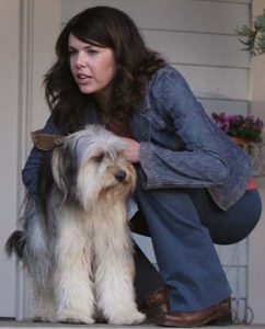 who can resist Sheepdogs Bobtail