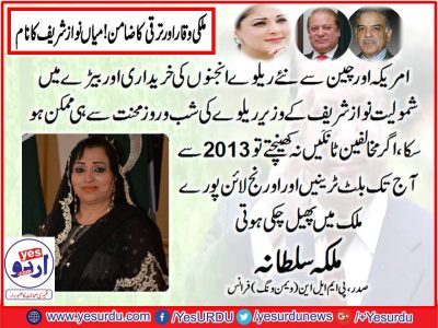 Malika Sultana, President, PMLN, women wing, France