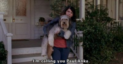 who can resist Sheepdogs Bobtail