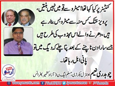 Mian Muhammad Naeem, Sec General, PML,, France