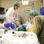 Scissors pulled from Vietnam man's stomach 18 years after surgery