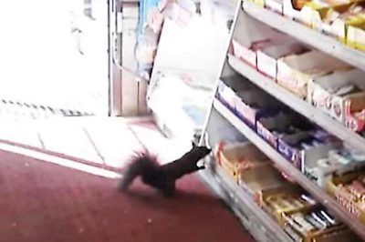 Unique robbery in Toronto's store