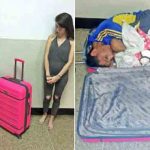 Woman's efforts failed to get the boyfriend put in suit Case released