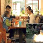 Taiwan: chicken baby place in Cafe has become the focus of audience attention
