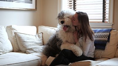 who can resist Sheepdogs Bobtail