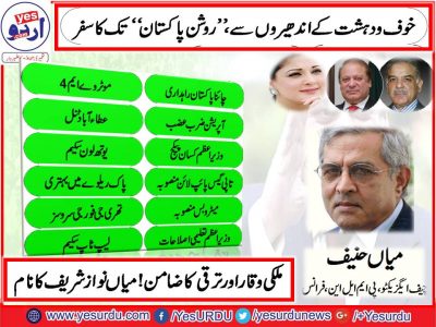 Mian Muhammad Hanif, PMLN, France