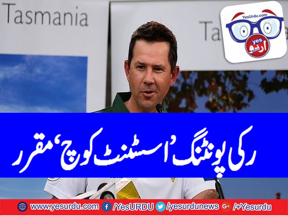 Ricky Ponting appointed as assistant coach for t20 squad