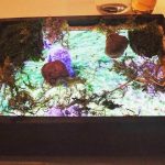 `Restaurant who Giving food in the IPAD instead of Plate