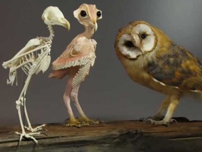 Potatoes made Potatoes to all