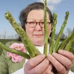 Future Forecast from vegetable