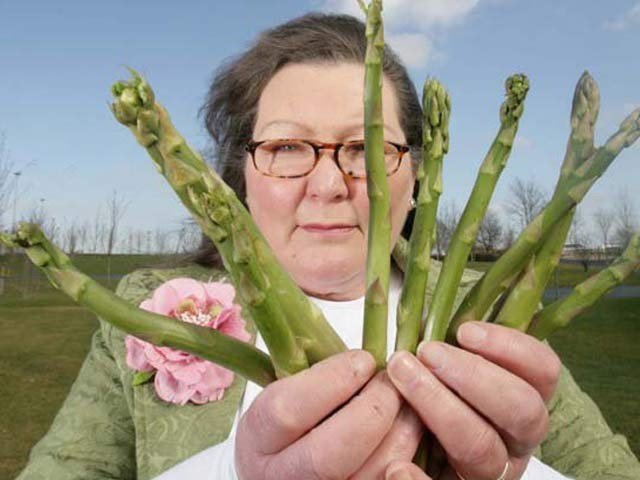 Future Forecast from vegetable