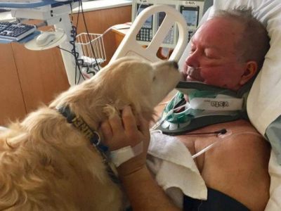 Bitch saved the owner from death