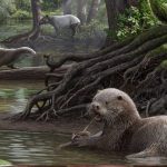 Discovered traces of millions of years old '' Otter '