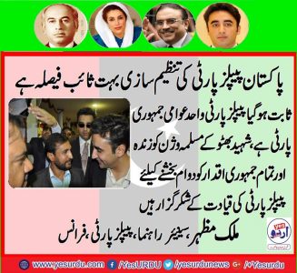 Malik Mazhar, Senior, Leader,PPP, France