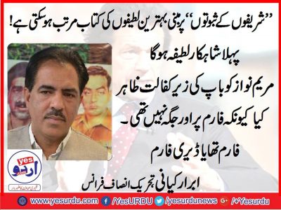 Abrar kayani, Senior Leader, PTI, France