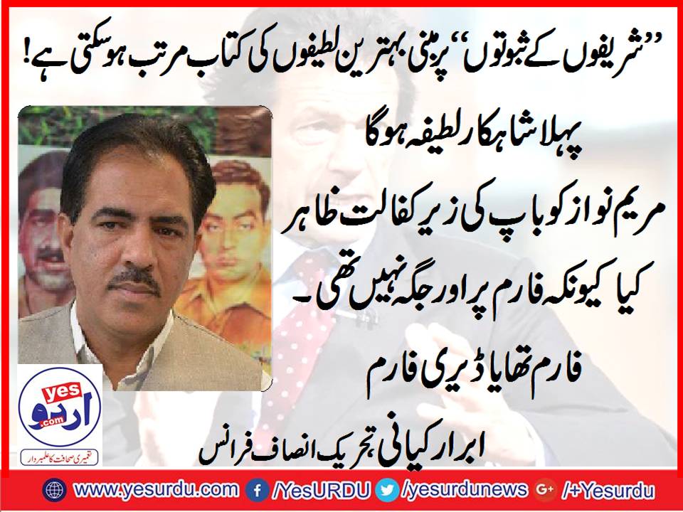 Abrar kayani, Senior Leader, PTI, France
