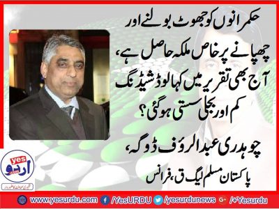 Ch, Abdur Rauf, Doga, Gen Sec, PML Q, France