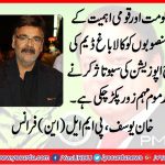 Khan Yousaf, Gen Secretary, PMLN, France