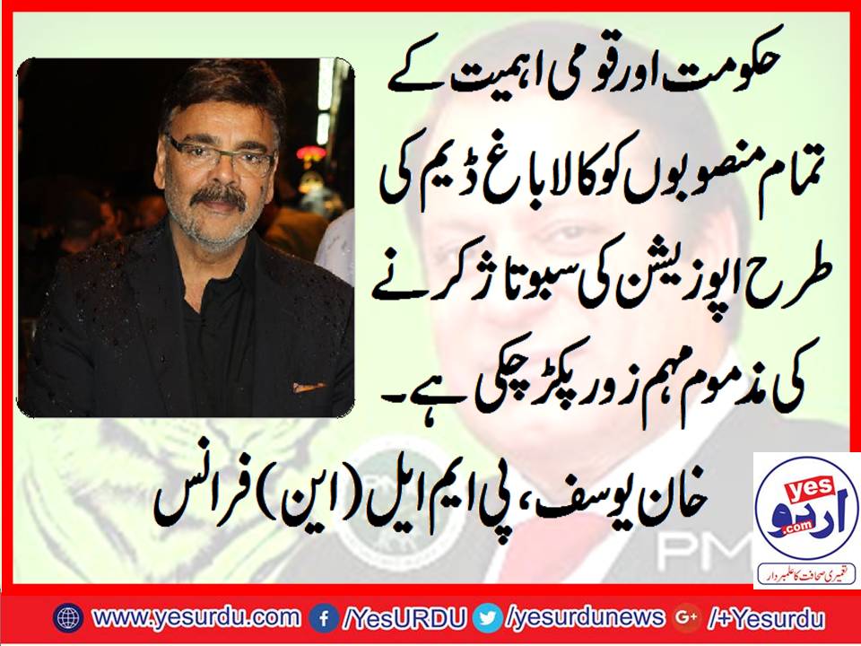 Khan Yousaf, Gen Secretary, PMLN, France