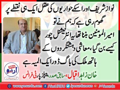 Khan zahid iqbal, Ex-President, PPP, France