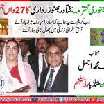Malik M Ajmal, PPP, Belgium