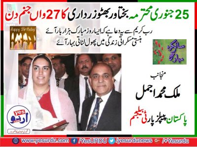 Malik M Ajmal, PPP, Belgium