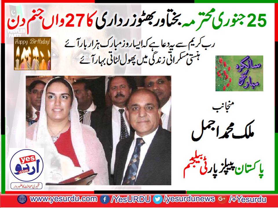 Malik M Ajmal, PPP, Belgium